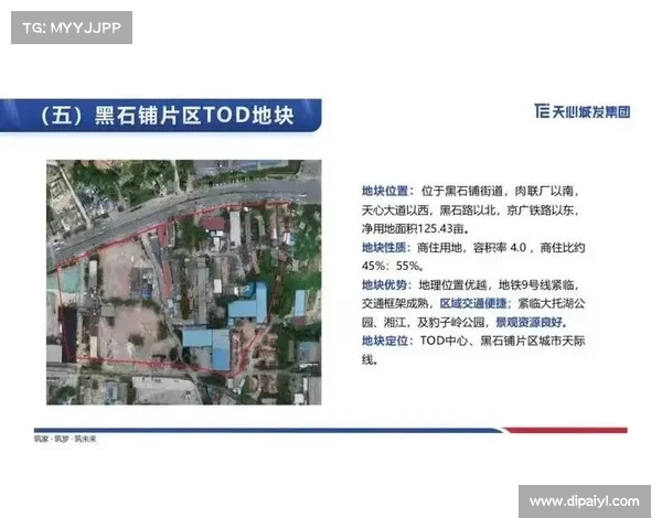 城市更新典范探索：十大成功案例深度解析与启示